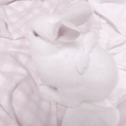 Ი𐑼