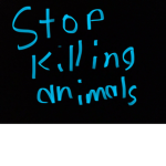 Stop killing all animals