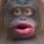 Monke Mates