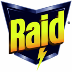 The Raids