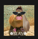 That GFX club