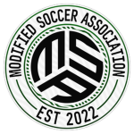 Brazilian Soccer League