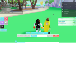 The Race