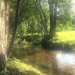Spirits of the River.