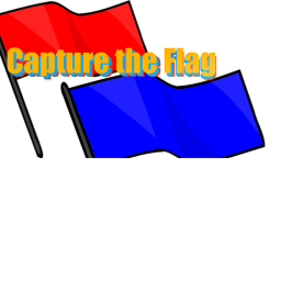 Capture the Flag!