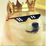Super Doges!