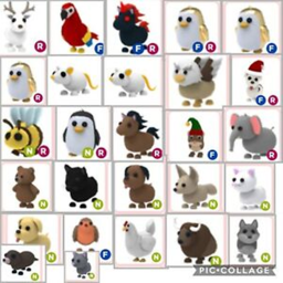 🙀 Adopt me mountable pets at a good price 👀✔️