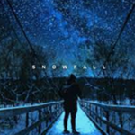 The Snow Of The Tree