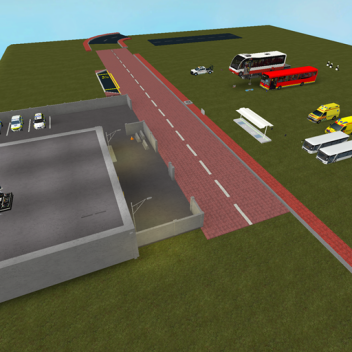 Training And Free Play