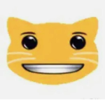 kittykatkiller$