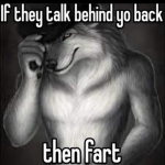 Sammy the meme doge's fan Group