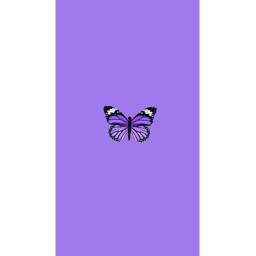 FUN OBBY