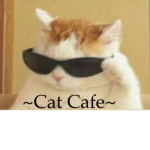 ~Cat Cafee~