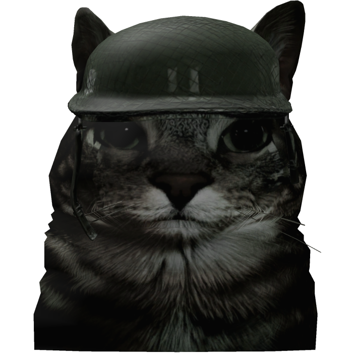 Soilder Cat Buddy
