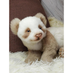 Panda fans only (: