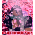 Bleach: Burning Souls