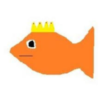 The goldfish UNITED