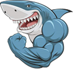 SHARK | GANG |