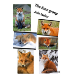 the foox group
