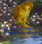 NinjaPnut Challenges