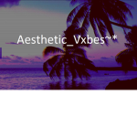 Aesthetic_Vxbes~*