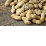 The Peanut Clubb