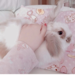 bwunnie