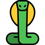 Cobra Games Studio