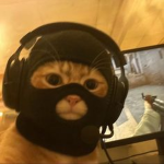 Pekurnese2019