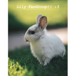 Lily FanClub <3
