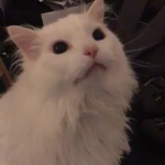 HOLa ONDa xD~~~