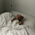 ~ · teddies ~ ·