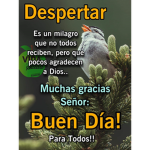 Lo mejor y ya