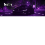 NotTeddyGaming Fans.