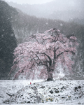 coldwinters