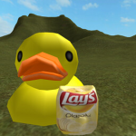 #DUCKY SQUAD!