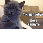 Neo ne