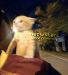 •meowskers•
