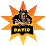 the david gamers
