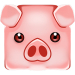 PIG Cube