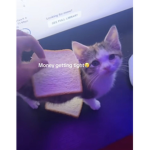 Ticytoby68