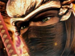 ninja silent strike attack force
