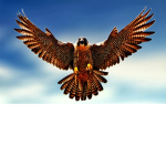 OrderOfTheFlamingFalcon