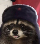 Boulette