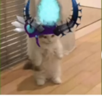 Dre’s Kloset