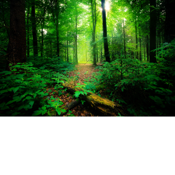 🌸Vivian's Pretty Little Home 🌸