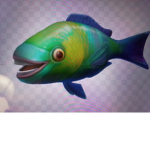 Parrot FishFace Cult