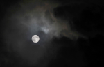 !! The Black Skies.