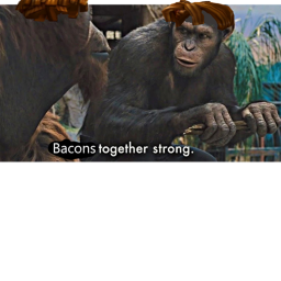 Bacons Together Strong