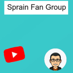 Sprain Fan Group